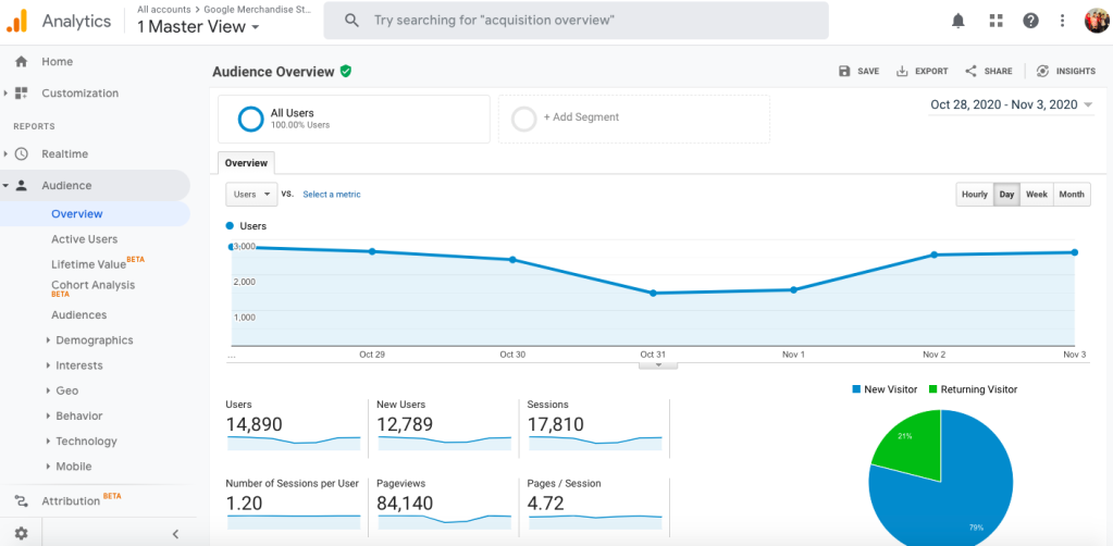 Google Analytics audience report